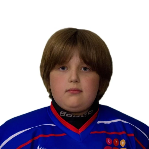 Stepanov Nikita Pavlovich
