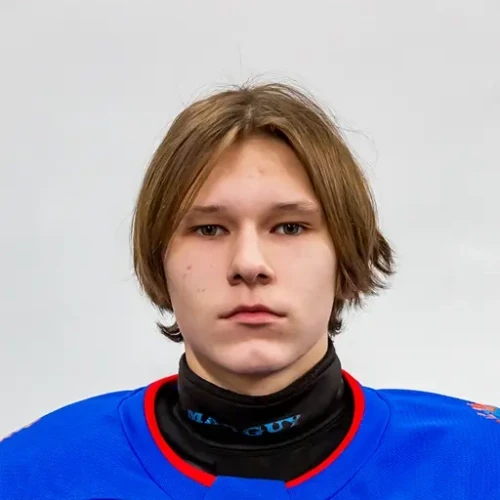 Lobanov Dmitrii Nikolaevich