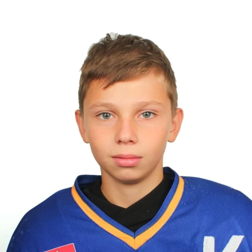 Karavaev Yaroslav Dmitrievich