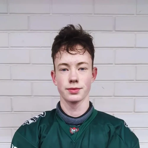 Evseev Nikita Andreevich