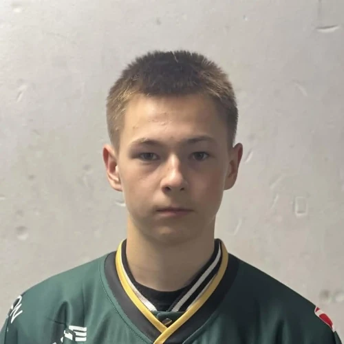 Hakimullin Emil Ilsurovich
