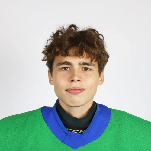 Yarmiev Nikita Aleksandrovich