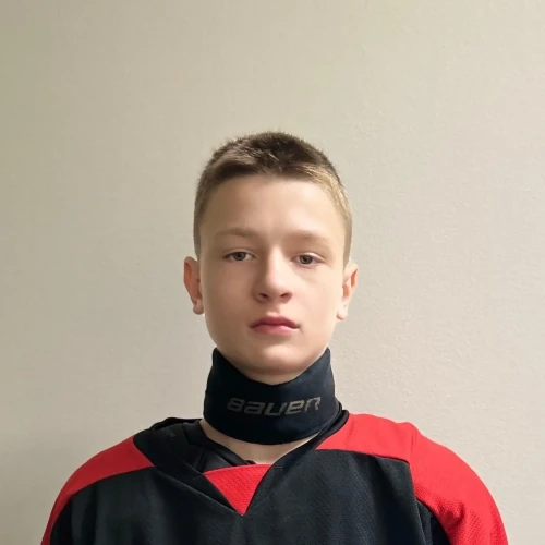 Lavrovskii Ilya Andreevich