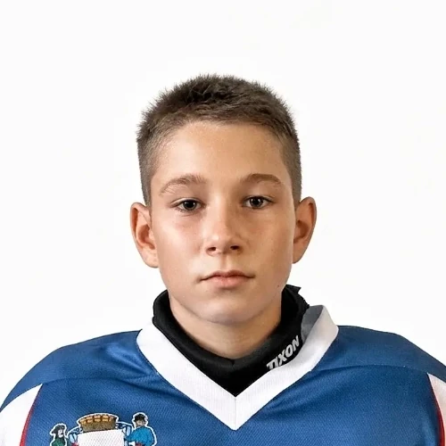 Mihalev Dmitrii Ivanovich