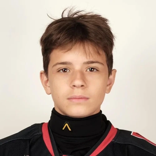 Alehin Arsenii Denisovich