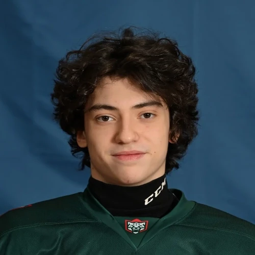 Chirkov Mihail Alekseevich