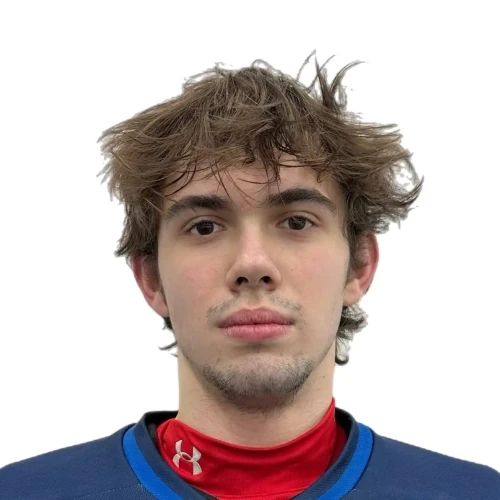 Filonov Dmitrii Vitalevich