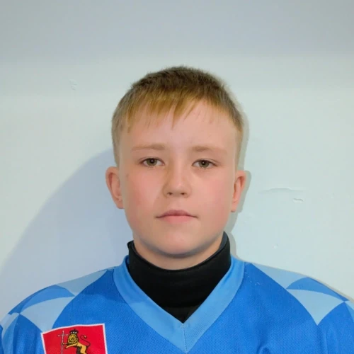 Gostev Nikita Nikolaevich