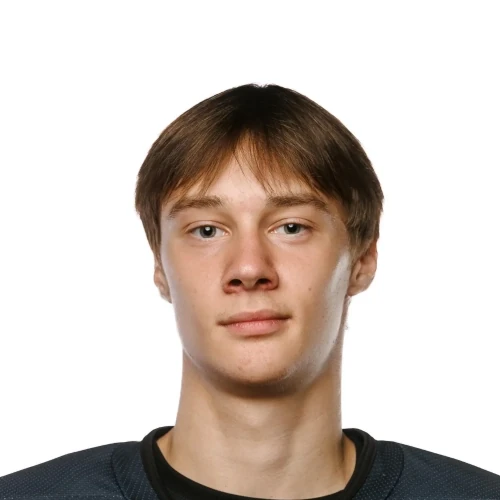 Pushkarev Yaroslav Maksimovich