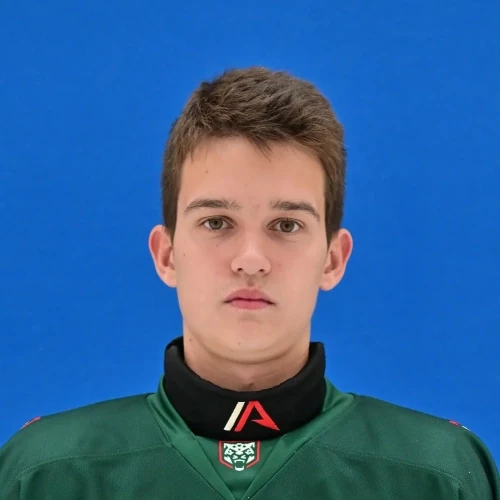 Shaiahmetov Damir Ruslanovich