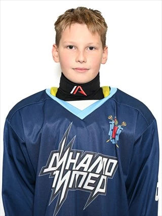 Davydenkov Ilya Dmitrievich