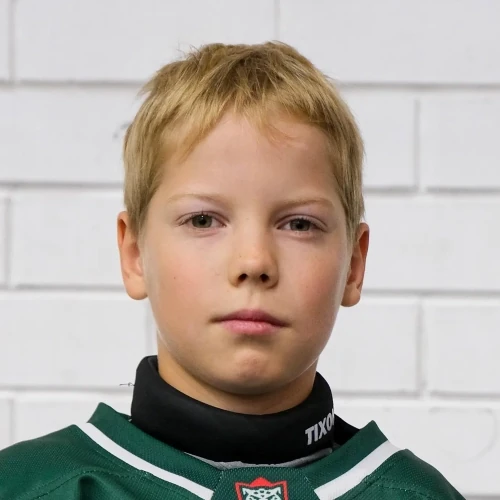 Merkulov Mark