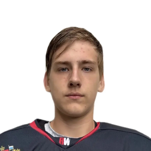 Sharygin Vladislav Vitalevich