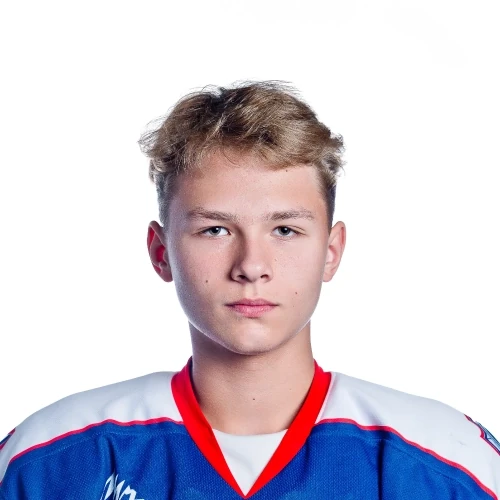 Kiselev Vladislav Dmitrievich