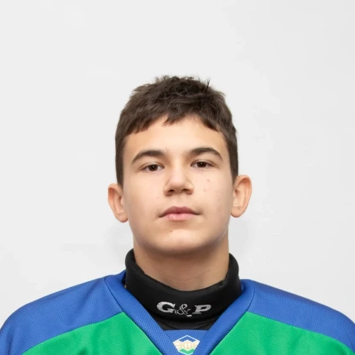 Garipov Emil Arturovich