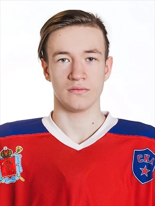 Zenin Nikita Viktorovich