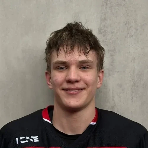 Nikiforov Ilya Aleksandrovich