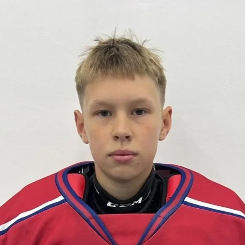 Gavryushin Egor Igorevich