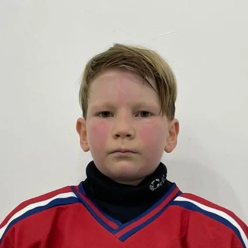 Usmanov Ayaz Ruslanovich