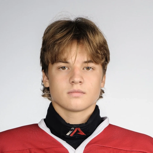 Baglaev Egor Aleksandrovich