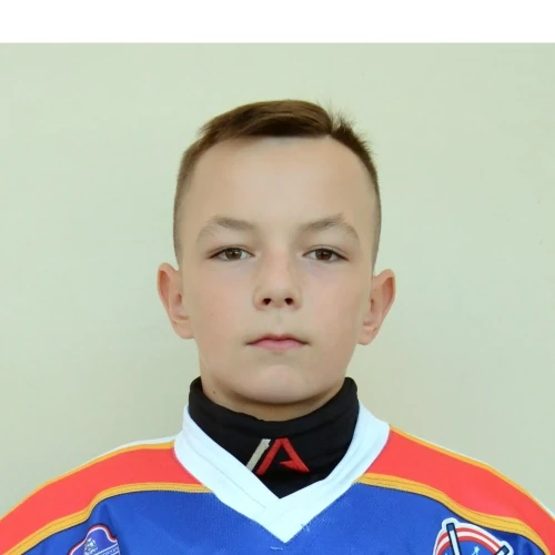 Larionov Artem Olegovich