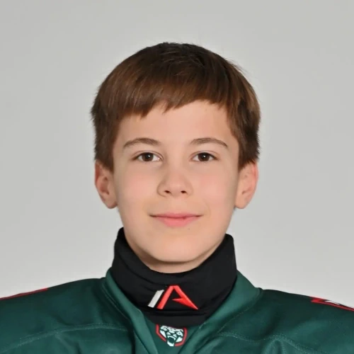 Stepanov Radmir Ruslanovich
