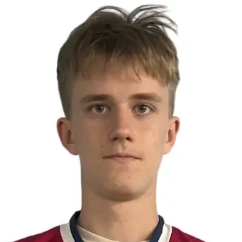 Tolmaev Yaroslav Sergeevich