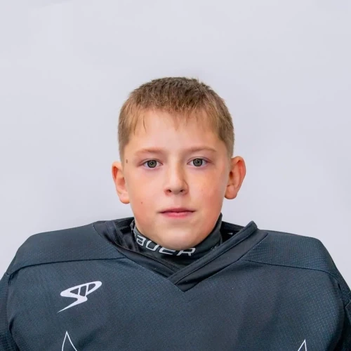 Goldenkov Roman Sergeevich