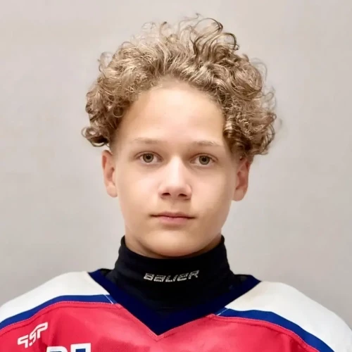 Besprozvannyh Kirill Aleksandrovich