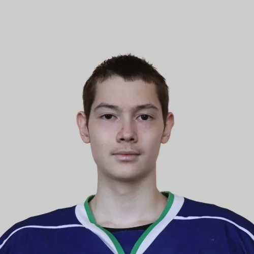 Zakirov Artem Aidarovich