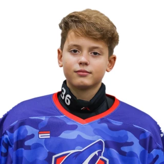 Miroshnichenko Artur Sergeevich