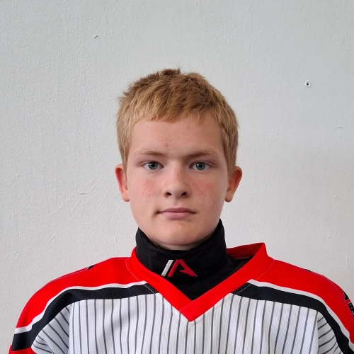 Dvornikov Nikita Sergeevich
