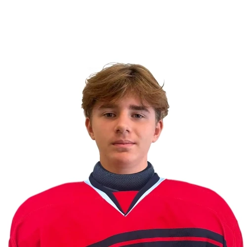 Komarov Lev Nikolaevich