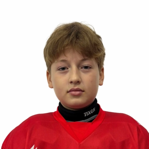 Vahrushev Arsenii Ruslanovich