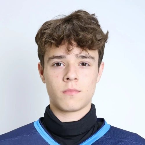 Rimsha Nikita Vladimirovich