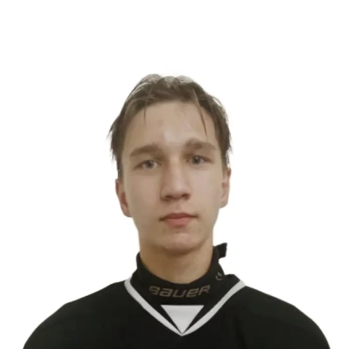Ivanov Denis Olegovich