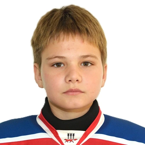 Artamoshkin Dmitrii Vyacheslavovich