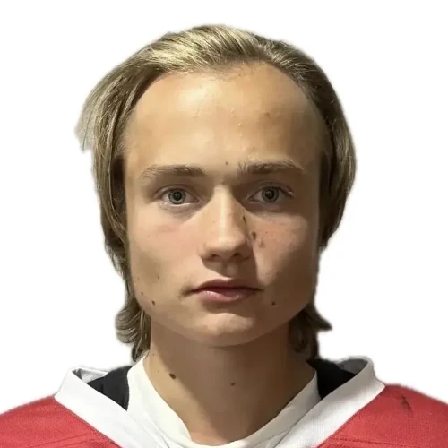 Vasilev Aleksandr Dmitrievich