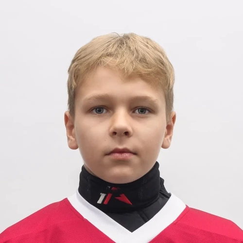 Solodovnik Maksim Evgenevich