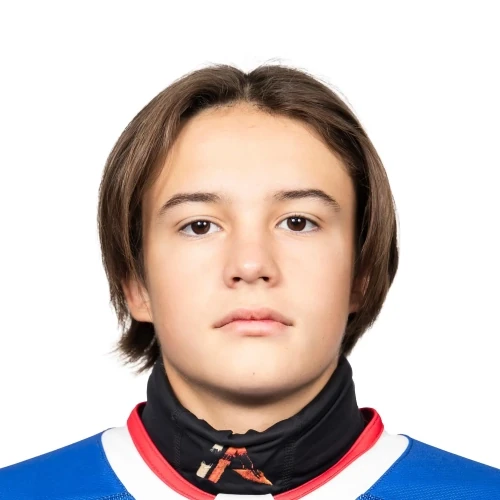 Prizheludskii Artem Andreevich