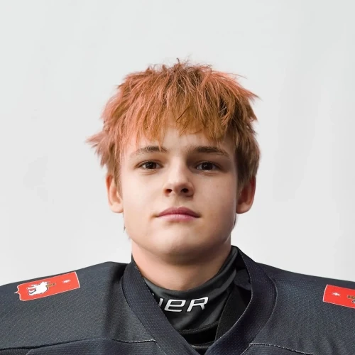 Yurchenko Timur Vladimirovich