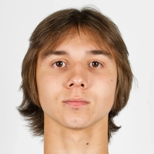 Ибряев Арсений Дмитриевич