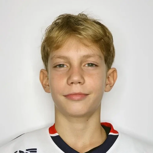 Emelin Vladislav Aleksandrovich