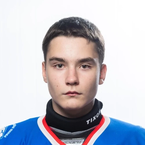 Rogov Ivan Vadimovich