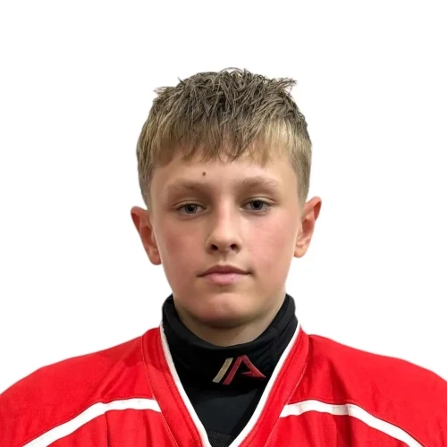 Berezhnoi Aleksei Vitalevich