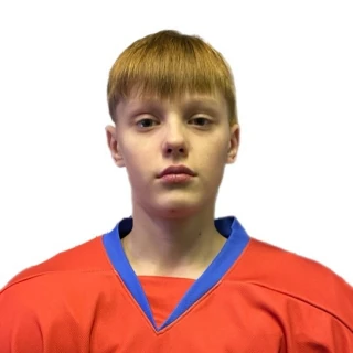 Николаенко Дмитрий Евгеньевич
