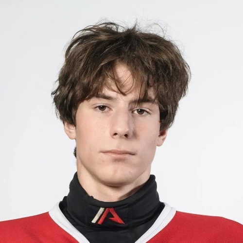 Voronin Nikita Alekseevich