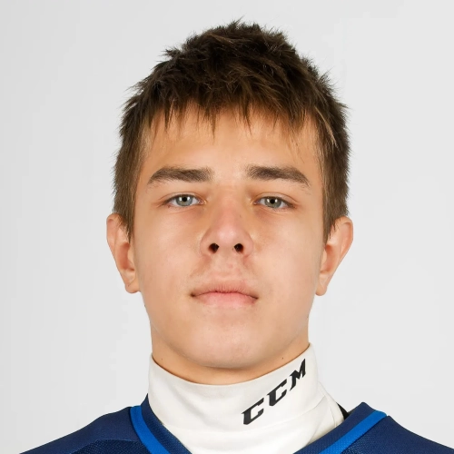 Arzhatkin Denis Vadimovich