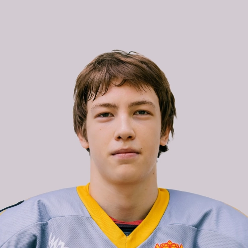 Ismagilov Danis Adirovich