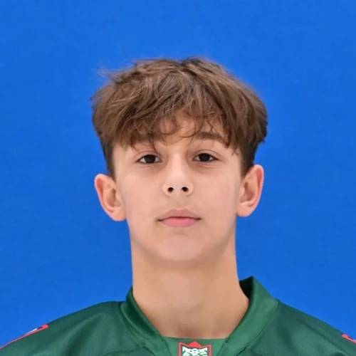 Hiyaleev Timur Lenarovich